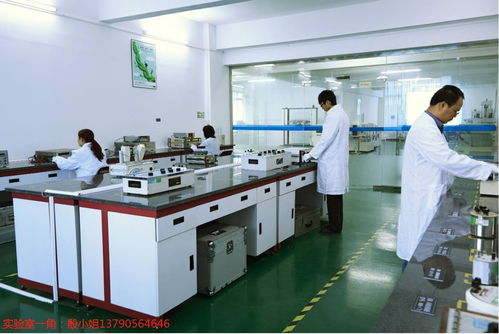 東莞工地設(shè)備計量校準(zhǔn)下廠服務(wù)、外校與信息咨詢綜合解析