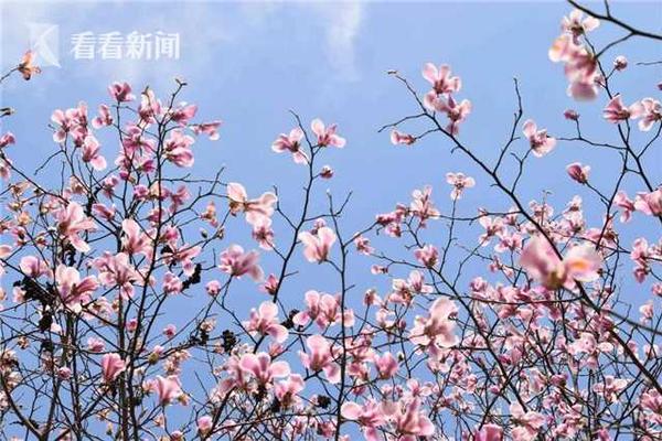 電工時(shí)代秦偉:儲(chǔ)能也要在因循守舊中創(chuàng)新發(fā)展