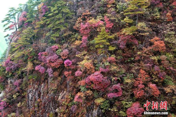 年產液氫2600噸 隴西液氫生產及碳減排示范基地建設項目開工