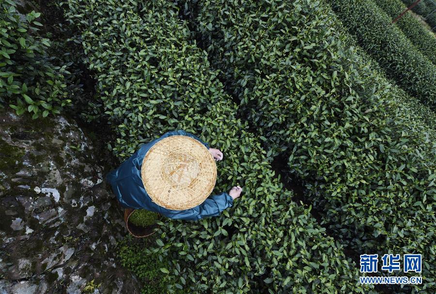 在家如何做烤肉？簡單烤肉攻略，一百塊吃大餐