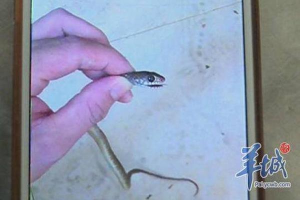 內蒙古:煤炭企業開工率增加 市場供應能力提升