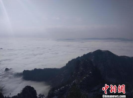 斯德雷特攜手海門做大光纖產業