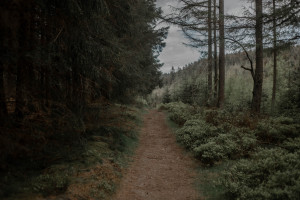 國網山西電力：科技手段助力春季防山火