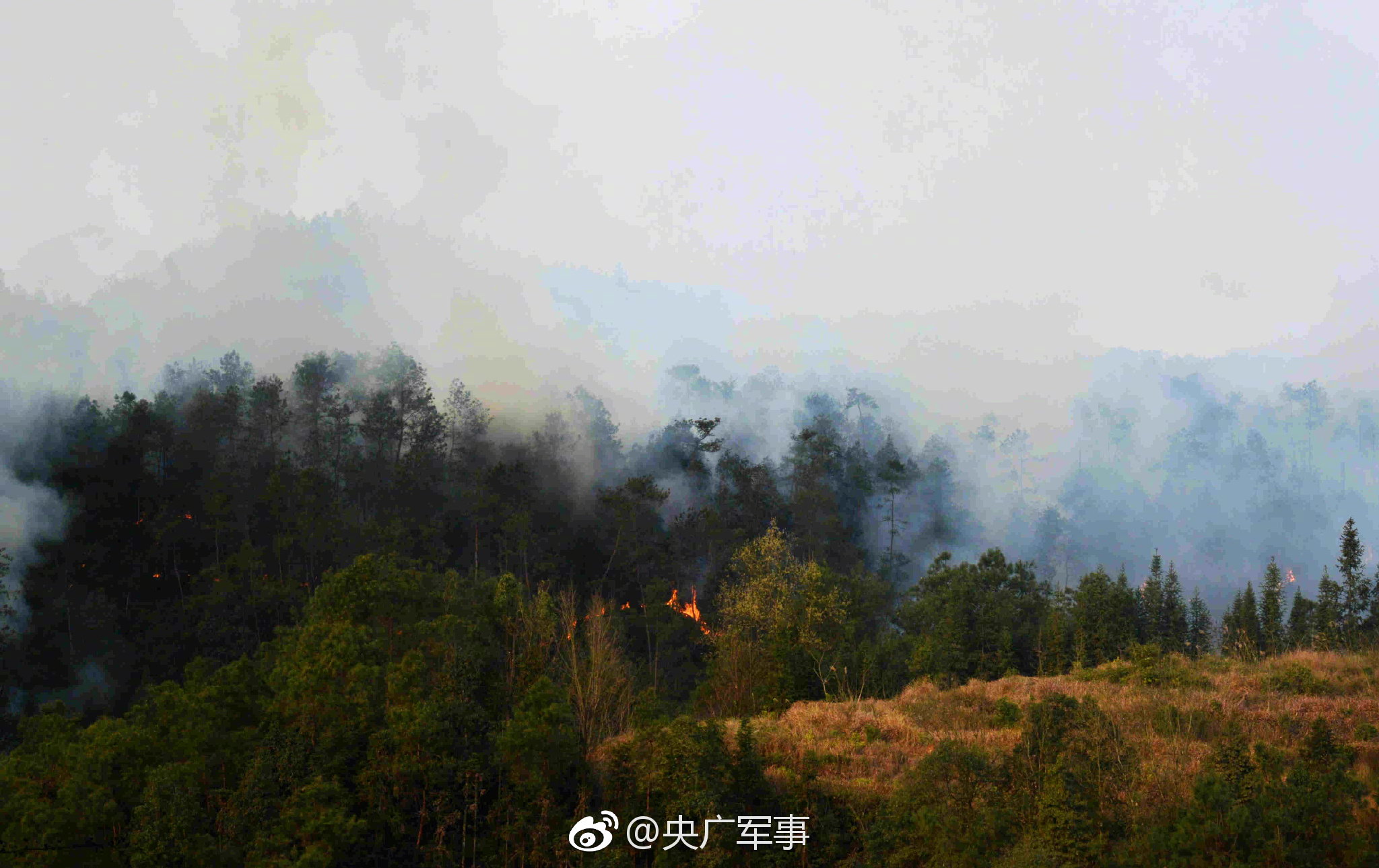 國家能源集團與浙江大學簽署戰略合作協議