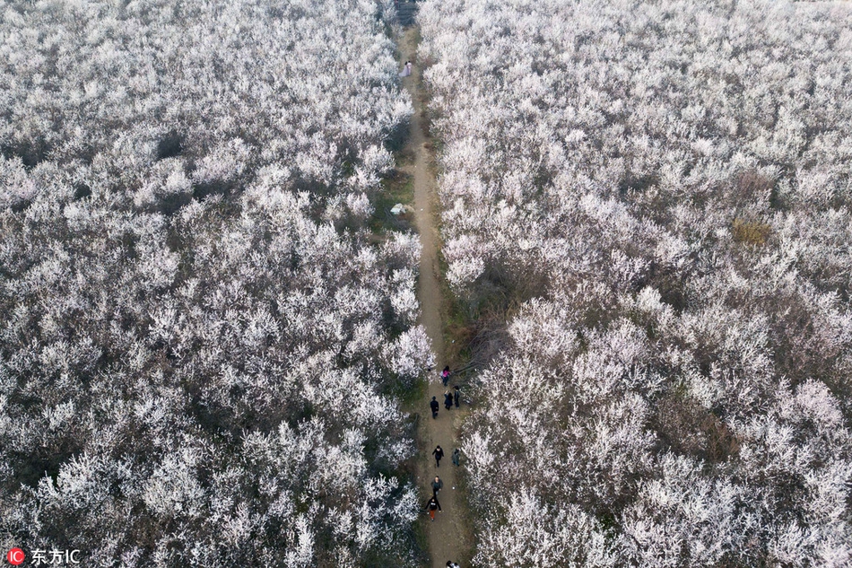 國網黑龍江電力實現分布式光伏數據規模化采集