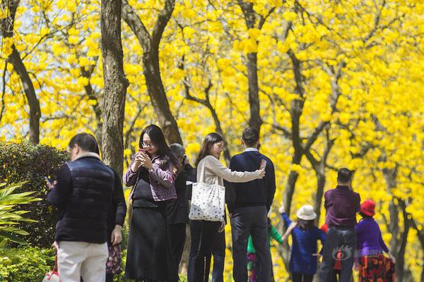 相約大潤發(fā)，汰漬與海清邀您新年把愛帶回家