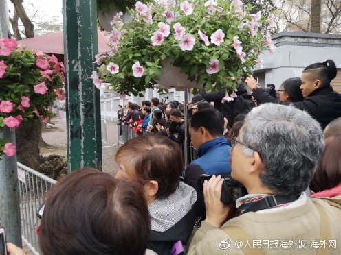 國資委:穩步推進輸配電裝備制造等行業的中央企業重組整合