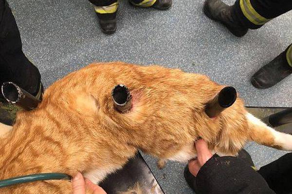 核燃！一首超帶感的《山東disco》，唱出山東這一年的大變化