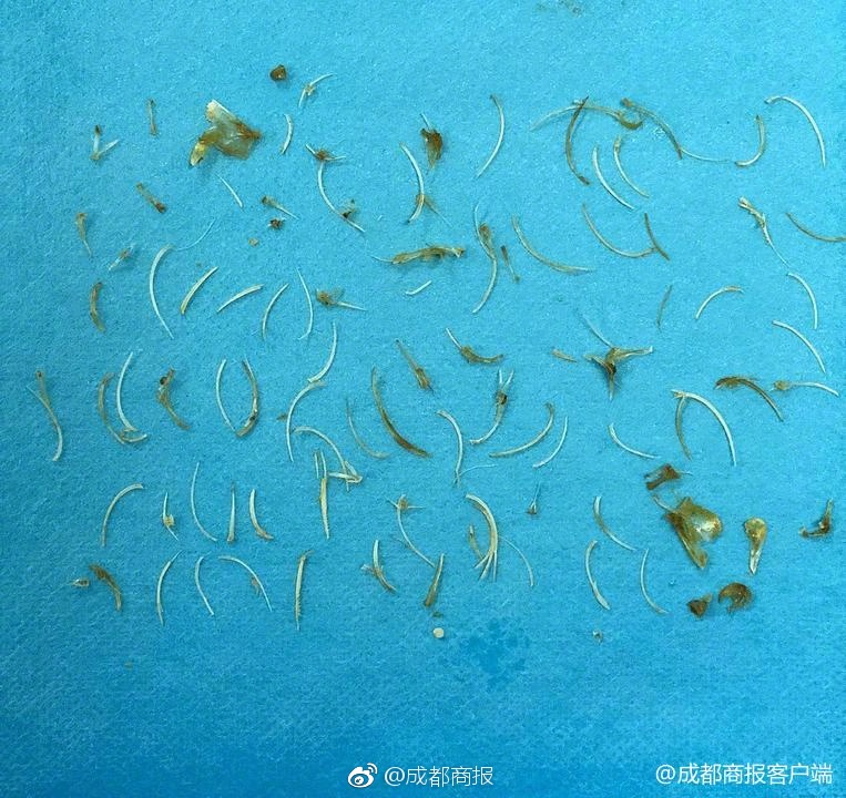[博海拾貝0927]惡靈騎士真人版