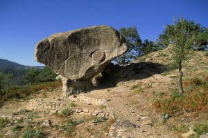 廣袤鄉村氣象新！《人民日報》頭版點贊山東多地欣欣向榮新氣象