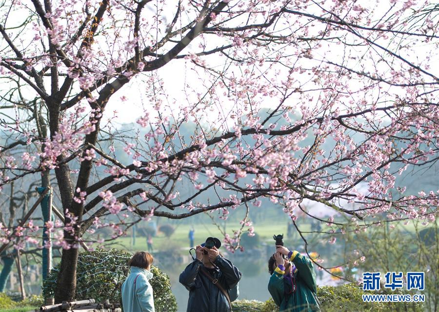 這就是山東丨是時候介紹一下魯菜了，它和山東人一樣有品有味