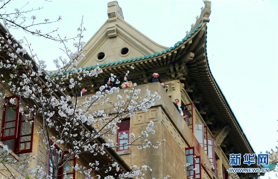 山西電力交易平臺上線 預(yù)計年內(nèi)電力直接交易量將超過30％