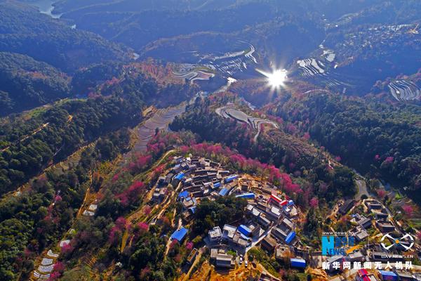 進口集裝箱疫情防控跑出“濟南速度”