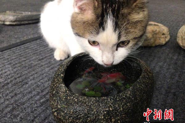 2023年遼寧省政府工作報告：構建東北區域能源交易中心