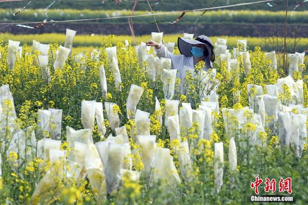 “停擺”三年后,出境團隊游重啟!濟南各大旅行社重新啟航