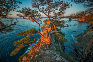 細(xì)讀經(jīng)典23：搞笑又溫情的經(jīng)典喜劇《土撥鼠之日》
