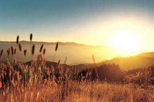 畢業2年租房總結,談不上血的教訓,但全是親身經歷