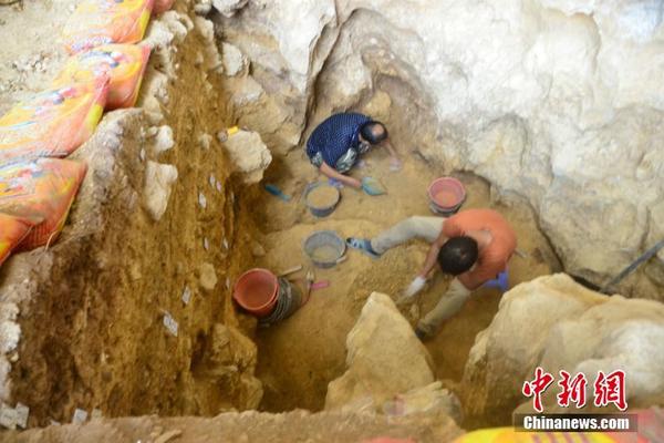 大爆發！55款FCEV申報工信部 氫雄配套第一