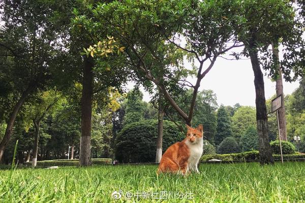 中國制造和德國制造到底差在哪？