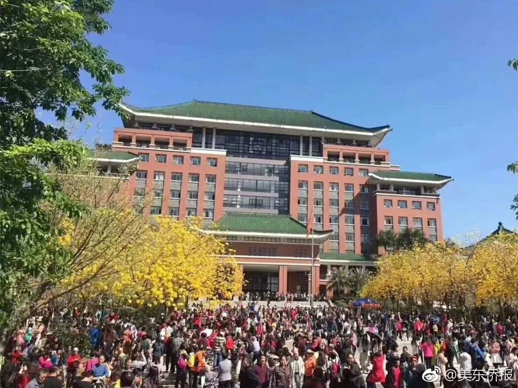 當無人替你負重前行時,你終歸要回到人生的正軌