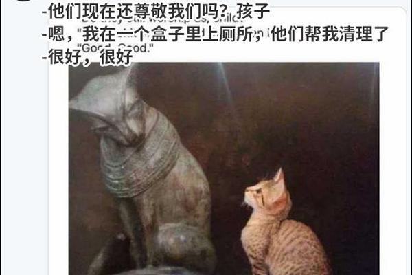 北極星招聘APP我們更懂你的優(yōu)秀