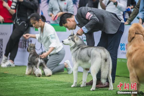 打造融合發(fā)展樣板公路 S103濟棗線旅游公路項目主線年內(nèi)通車