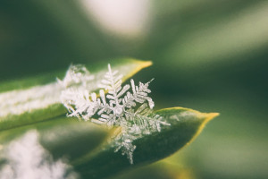 《碧血劍》背后的袁崇煥：是誤國罪人，還是被毀的長城？
