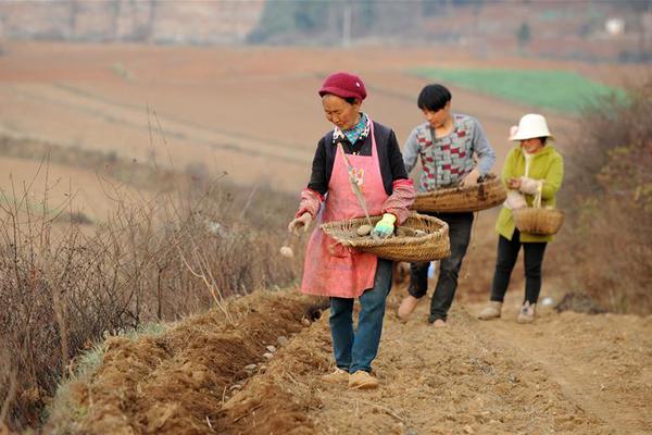 成立售電公司 需要平衡的十大問題