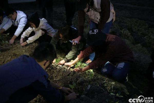 中國電科院副院長嚴勝致辭：加快推進新型電力系統建設