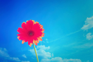 南方電網(wǎng)：落實“雙碳”目標(biāo) 發(fā)揮戰(zhàn)略支撐作用