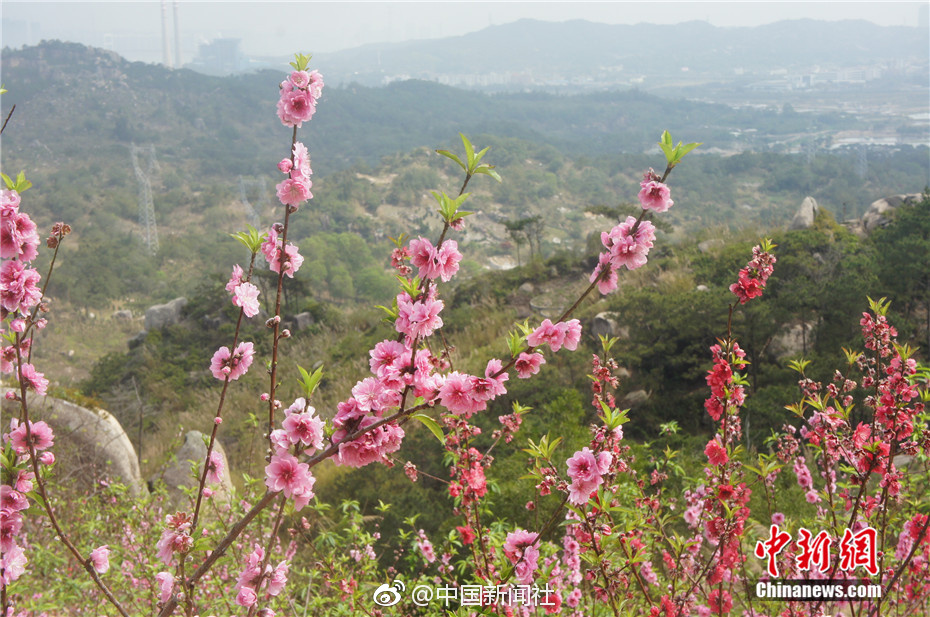 閃電海報|她們是媽媽,也是閃閃發(fā)光的自己
