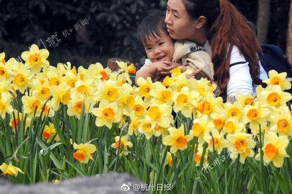 百貨 50 條，全部是實用的玩意兒（0928 第 2677 期）