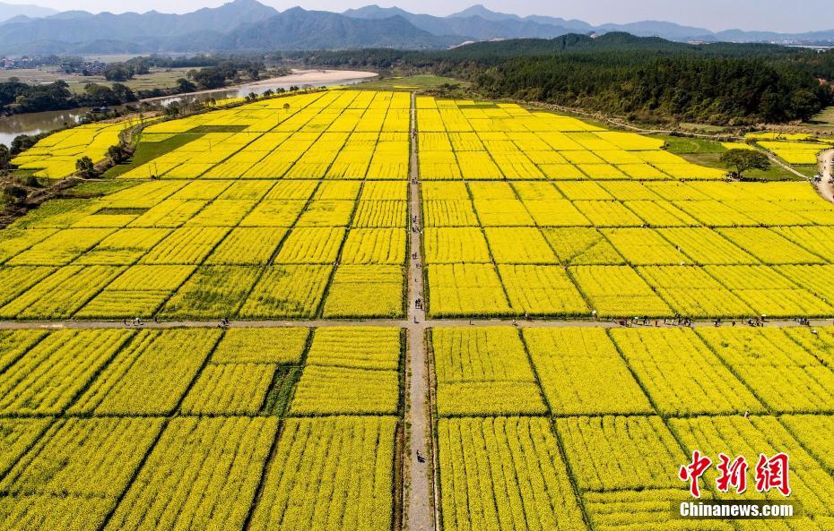 這就是山東丨一季度山東實體經濟融資成本下降152億,助力高質量發