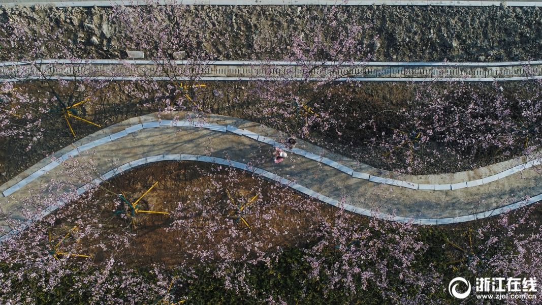 青海電網建設成功實現17連跨